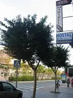 Hostal Maribel Almeria 