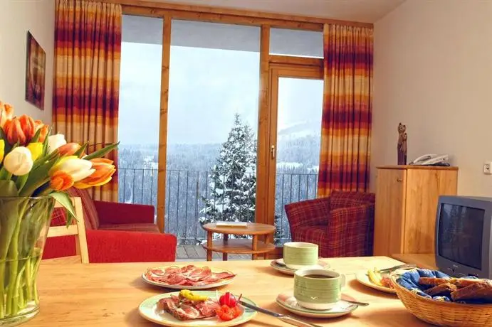 Panorama Appartements Wald im Pinzgau 