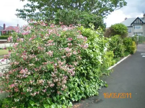 Aaranmore Lodge Guest House 