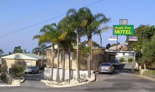 Koala Tree Motel