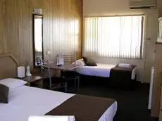 Koala Tree Motel 