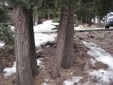 Hidden Valley by Mammoth Reservation Bureau 