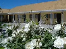 Pania Lodge Motels Napier 