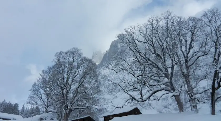 Hotel Caprice - Grindelwald 