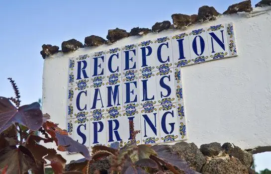 Camel's Spring Club 