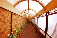 Hotel Surya Shimla 