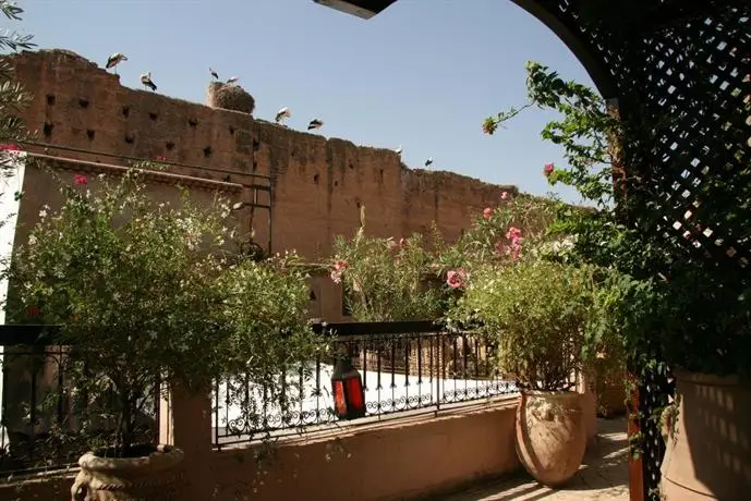 Riad Carina 