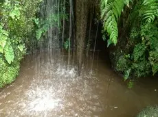 Quinta Da Nasce Agua 