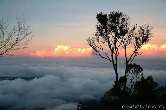 Holiday Heaven Munnar