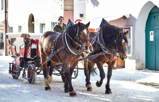 Hotel Bichlerhof 