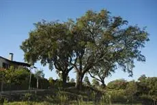 Monte Pedras Negras 