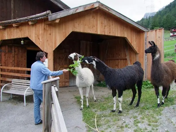 Hotel-Gasthof Freisleben