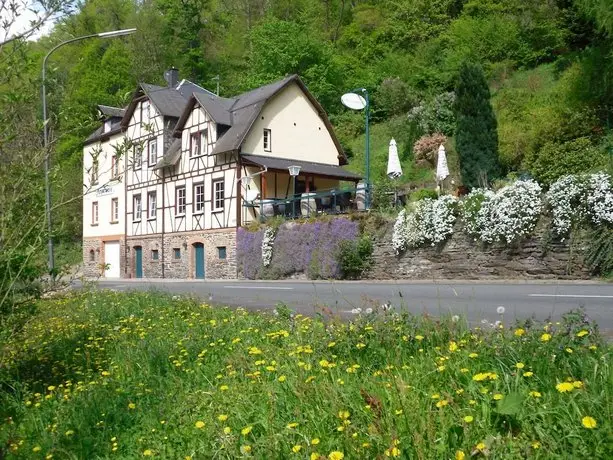 Hotel Jungenwald