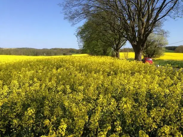 Pension Am Klunderberg Binz 