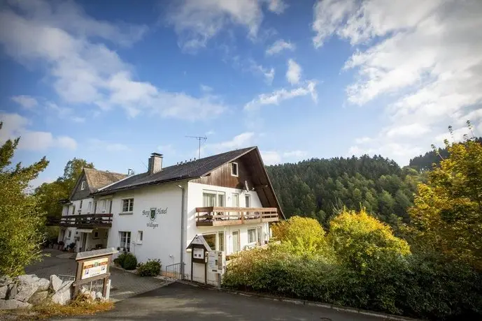 Berghotel-Willingen