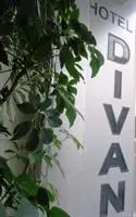 Hotel Divan 