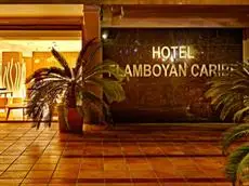 Hotel Spa Flamboyan - Caribe 