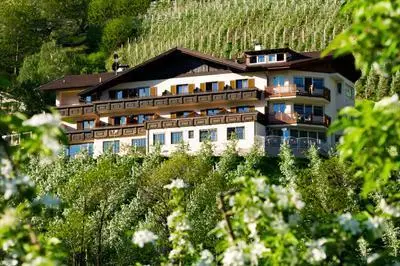 Panorama Hotel Garni Buhlerhof 