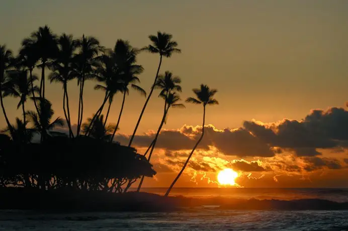 Fairmont Orchid 