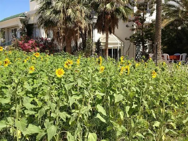 Hotel Djerba Orient 