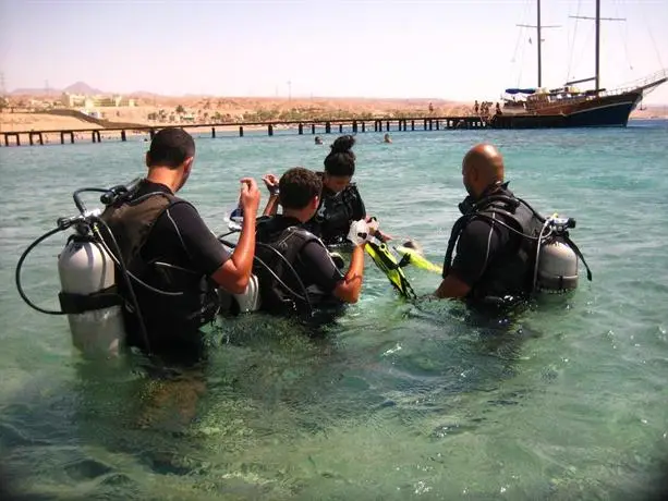 Arab Divers Dive Center and Bed & Breakfast 