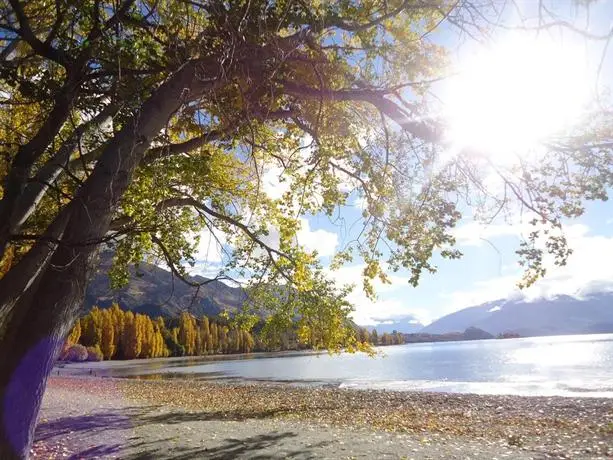 Lake Wanaka Lodge 