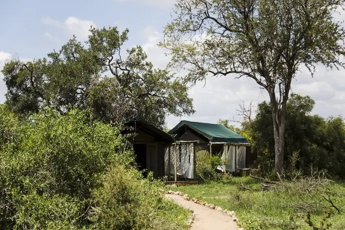 Simbavati River Lodge 