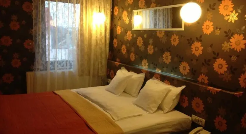 Hotel Ramina Timisoara 