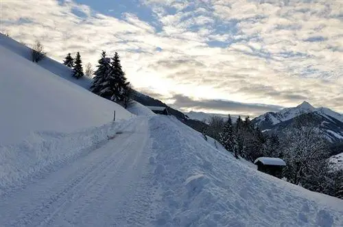 Gastehaus Schneider Alpbach 