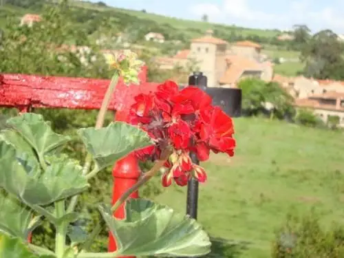 Posada La Solana Hotel Santillana del Mar 