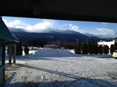 Alpine Inn Valemount 