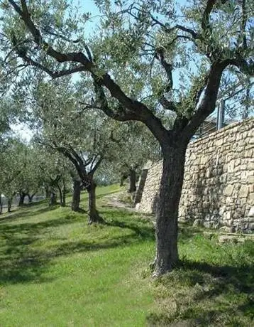 Hotel Il Castellaccio 