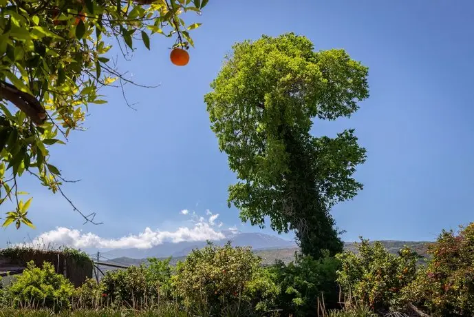 La Terra Dei Sogni 