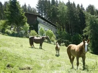 Hotel Garni Gastehaus Karin 