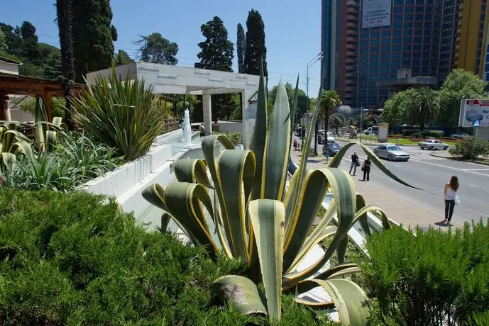 Sochi-Breeze Spa Hotel 