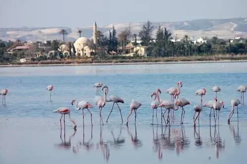 Easyhotel Larnaca 