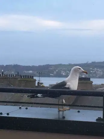 The Hotel Broughty Ferry 