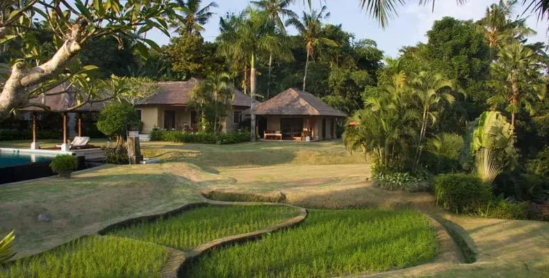 The Lotus Residence Bali 