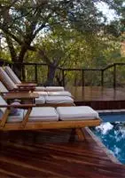 Thornybush Shumbalala Game Lodge 