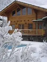 Chalet Alpina Hotel & Apartments 