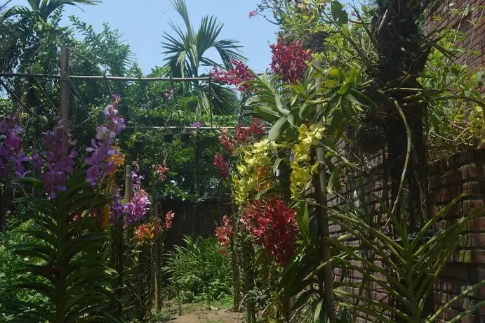 The Hoi An Orchid Garden Villas 