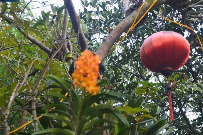 The Hoi An Orchid Garden Villas 