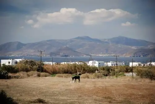 View To The Blue Apartments Agia Anna Naxos 