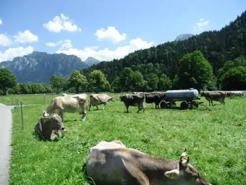 Casa Patrizia Schwangau 