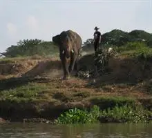 Ayodhara Village 