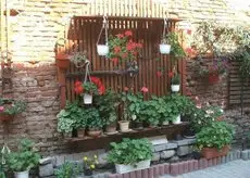 Guesthouse Casa Baciu 