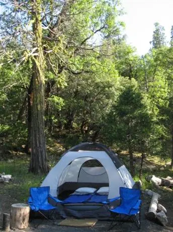 Evergreen Lodge at Yosemite 