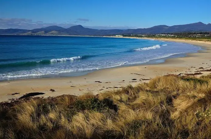 Scamander Beach Shack 