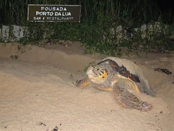 Porto da Lua 