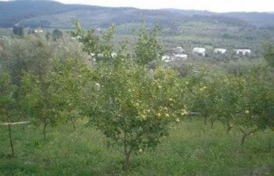 Agriturismo Parco dei Limoni Peschici 